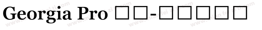 Georgia Pro 粗体字体转换